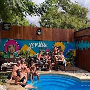 Hostel Gorilla, Mendoza